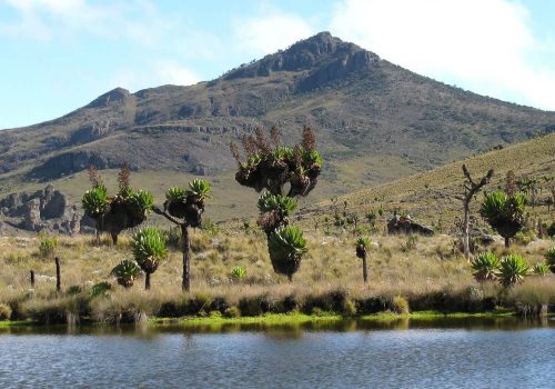 Mount Elgon